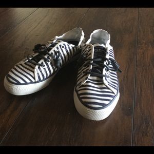 Sperry Canvas Shoes